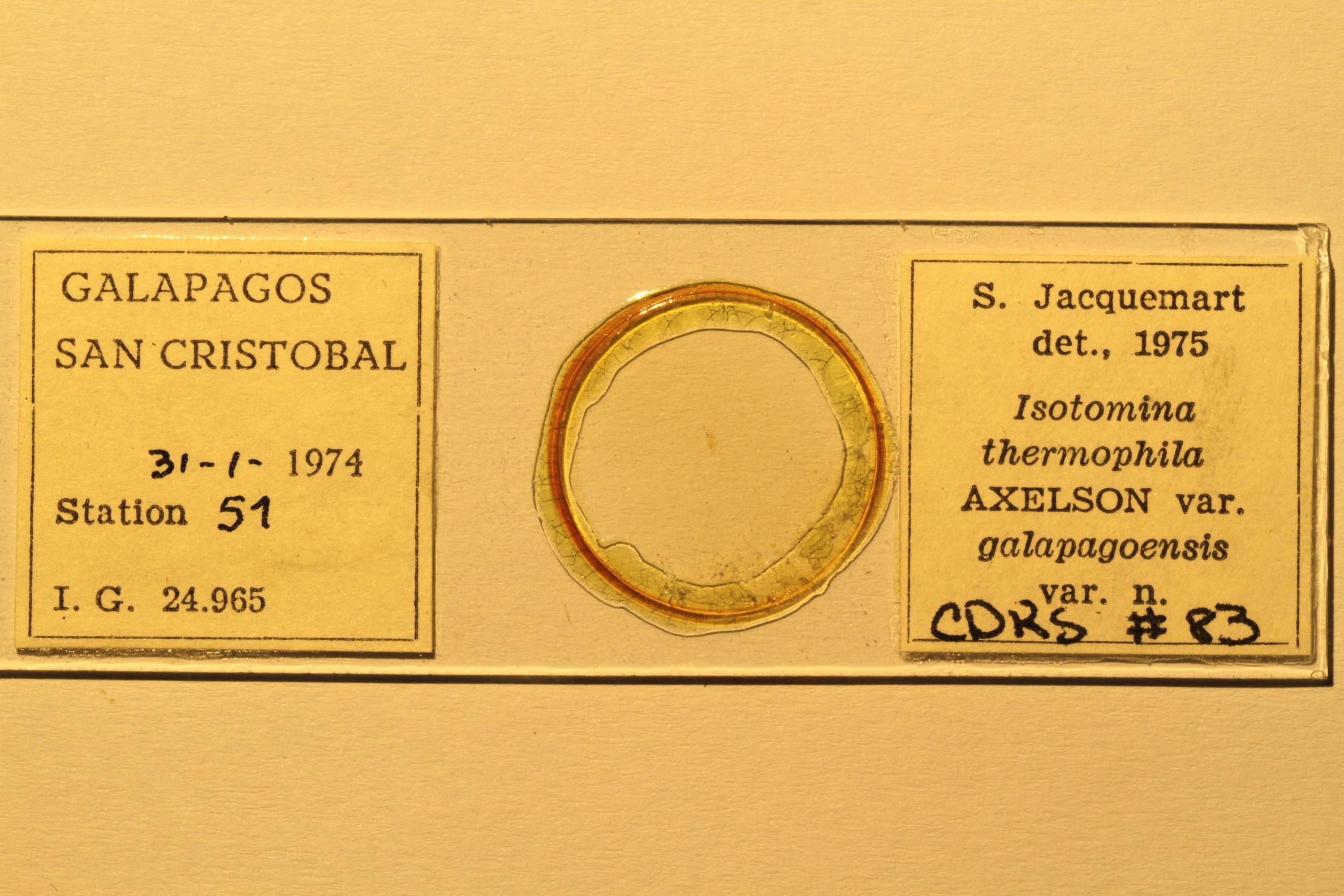 Specimen mounted on microscope slide preparation, Jacquemart expedition, 1974. Photo: Angel Piloso, CDF, 2026.