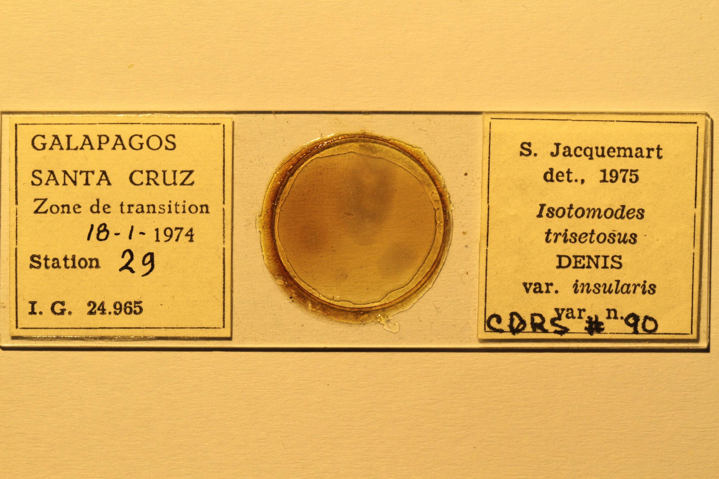 Specimen mounted on microscope slide preparation, Jacquemart expedition, 1974. Photo: Angel Piloso, CDF, 2026.