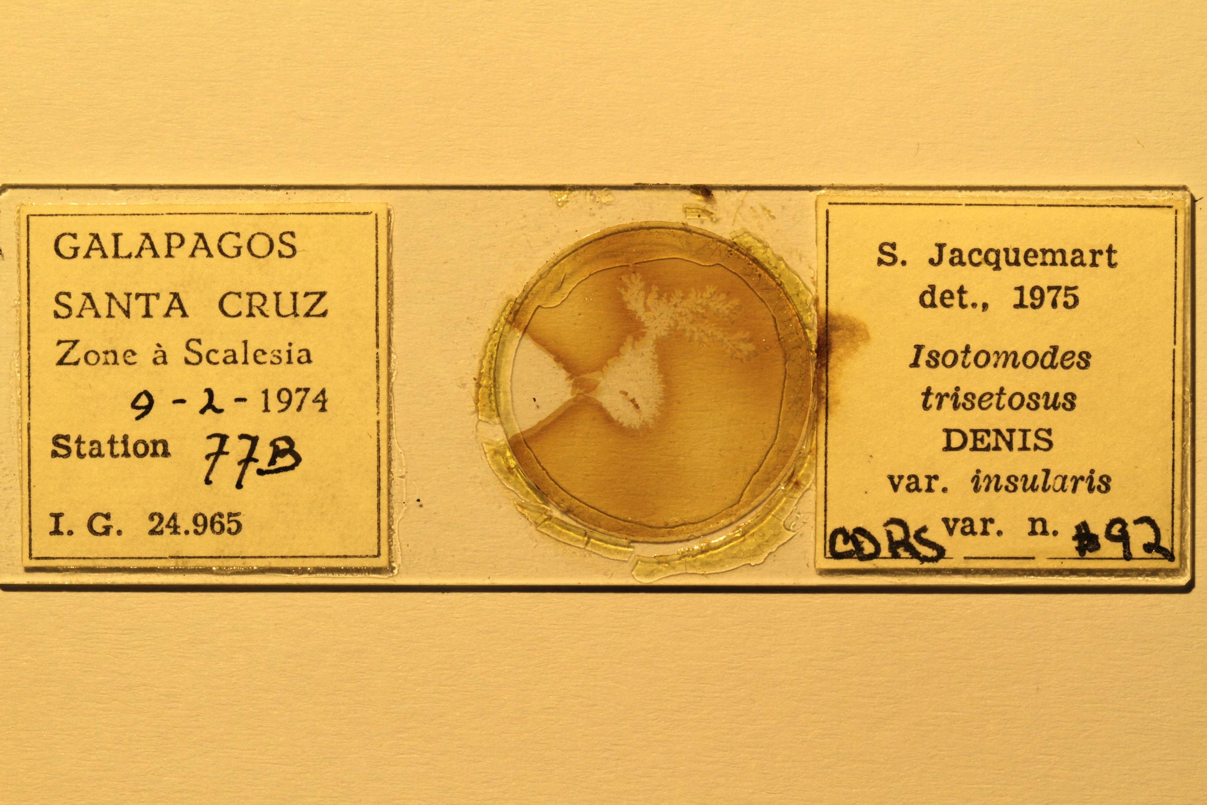Specimen mounted on microscope slide preparation, Jacquemart expedition, 1974. Photo: Angel Piloso, CDF, 2026.